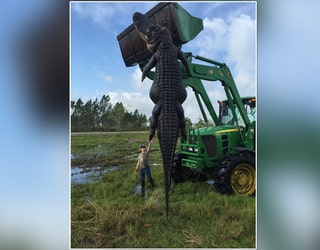 gator hunt5_1459874471336-401385.jpg