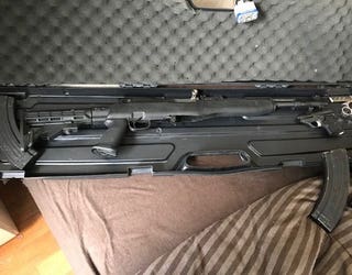gun1_1533911069200.jpg