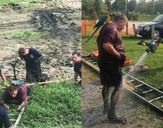 man and parrot stuck in mud 2_1534239451798.jpg-401385.jpg