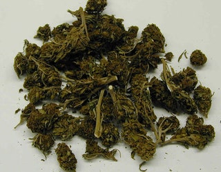 marijuana-file-dea-1_1529352896359.jpg