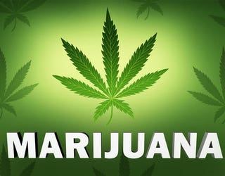 marijuana_1441207899615.jpg