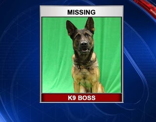 missing k9_1537372638387.jpg-401385.jpg