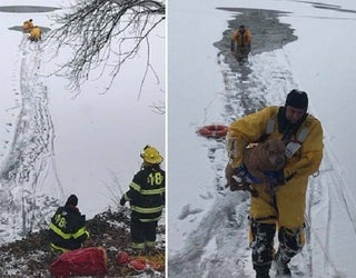 oaklyn_fire_dept_dog_frozen_lake_rescue_02_010118_1514831535603-401096.jpg