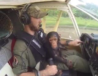 rescue_flight_new_1520027271970-405538.JPG