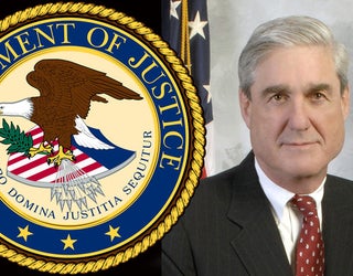 robertmuellerweb_1495060534946.jpg
