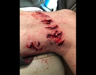 sharkplus_1533834216507-408795.jpg