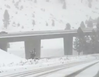 snow2_1497316319085.jpg