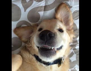 so cute_1456784738618-409162.JPG