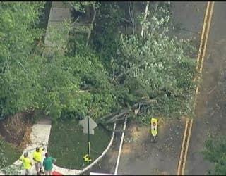 Tree Down in Morristown, 1