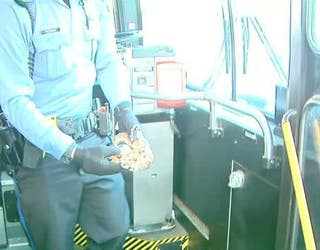 SEPTA SNAKE 341-401096.jpg