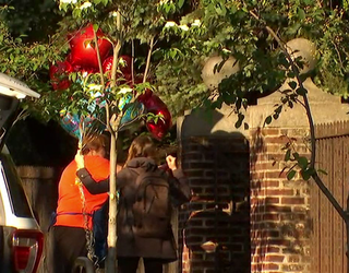 wed school balloons_1495019881985-401096.png