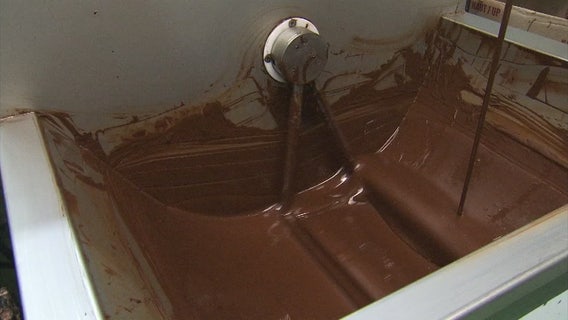 Chocolate factory in Brooklyn | Jen at Work