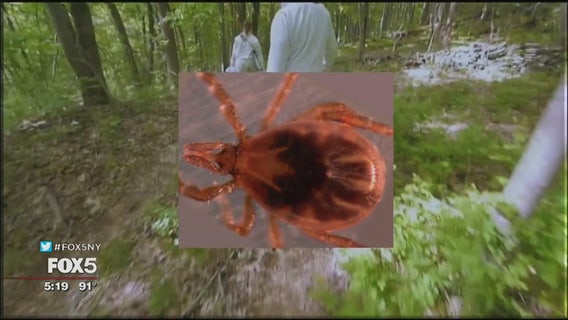 Tick-control program launched in New York to fight Lyme disease