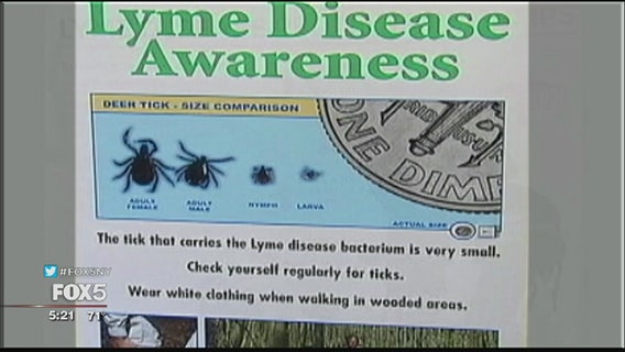Lyme disease awareness campaign targets Staten Island