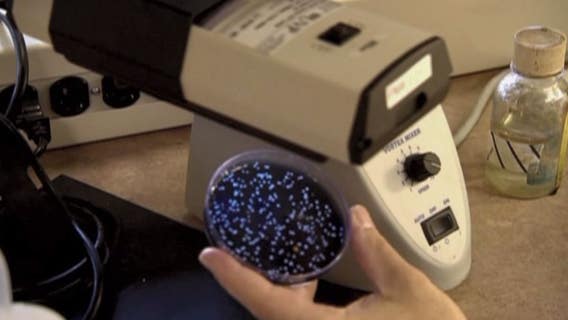 Lawsuit blames construction company for Legionnaires’ disease outbreak