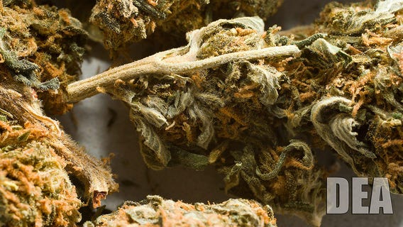 NY Legislature passes marijuana legalization bill