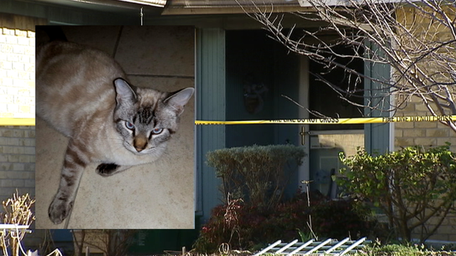 ‘Angel' the cat saves owner before dying in house fire
