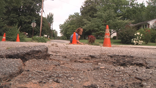 Neighbors tired of potholes fill them with flowers