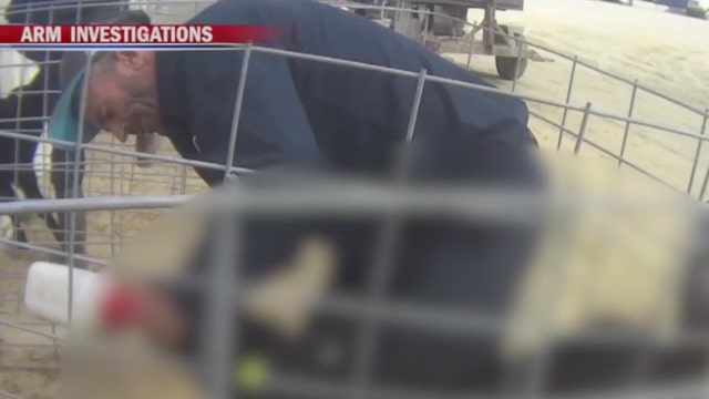 Police investigate alleged animal abuse at famous Indiana farm