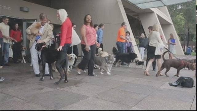 Beer, games, pets? Perks of an evolving workplace