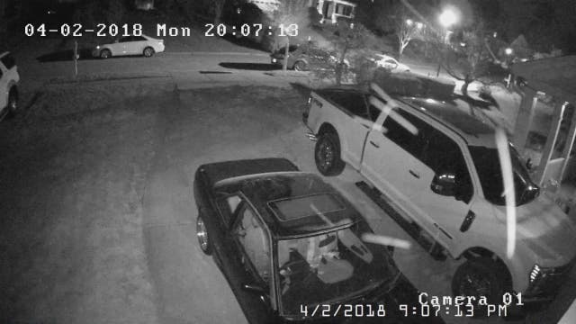 Blowing pollen triggers surveillance cameras in NC
