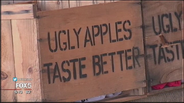Hard cider from ugly apples