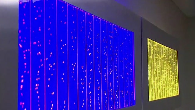 Adelphi University opens sensory room
