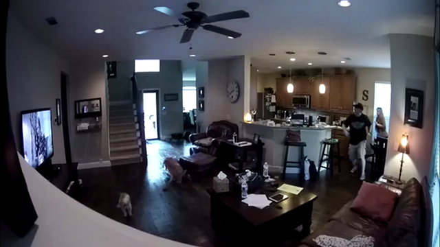 Deer crashes into McKinney family's home