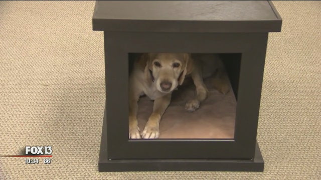 Florida-based inventors make ZenCrate for anxious dogs