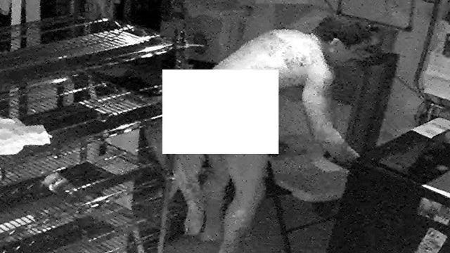 Naked man caught on camera breaking into Maryland pizza shop