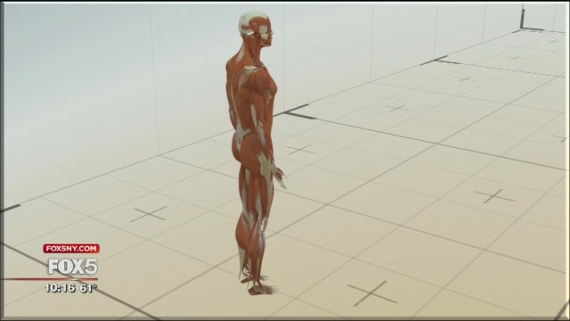 The Big Idea: Unlocking secrets of the human body