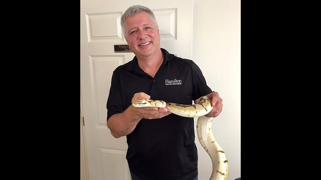 NY college student finds 5-foot snake in dorm room