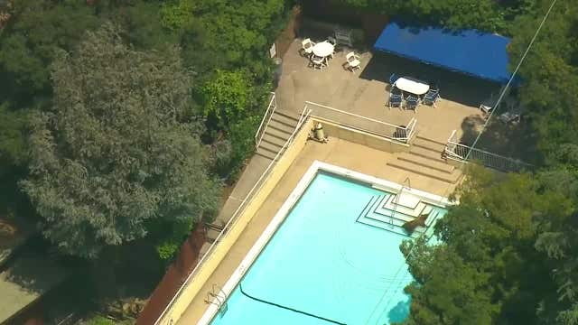 WATCH: Bear stops off for a dip in the pool