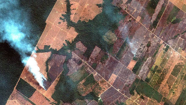 World leaders, soccer stars unite to help burning Amazon