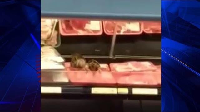 WATCH: Patron catches birds feasting on raw meat in Walmart, notifies health department