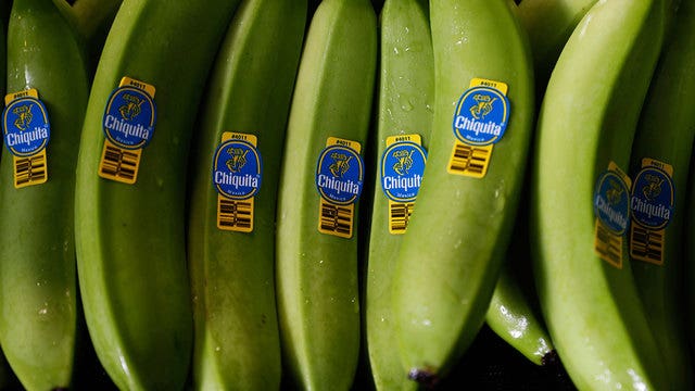 Scientists fight to save bananas from extinction
