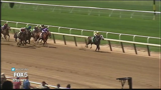 Excitement surrounds Belmont Stakes