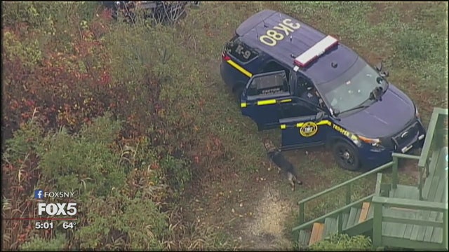 Gang task force finds more apparent human remains on Long Island