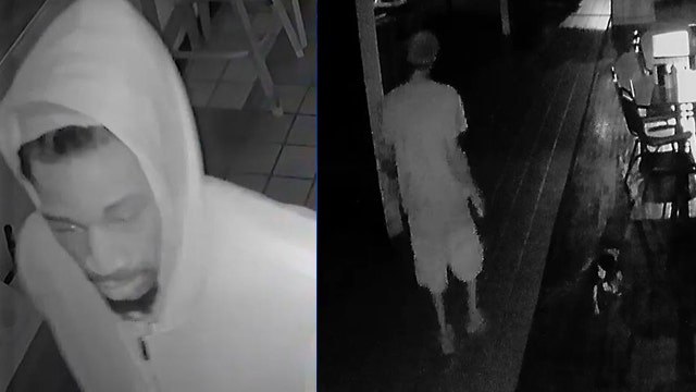 Police: Burglar brings dog with him during break-in