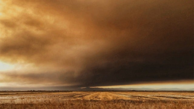 Professor implores students to help fire victims