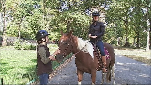 Central Park horseback riding