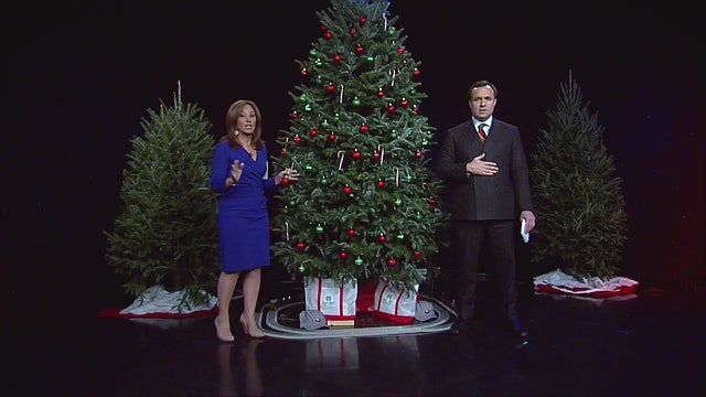 Christmas tree delivery service