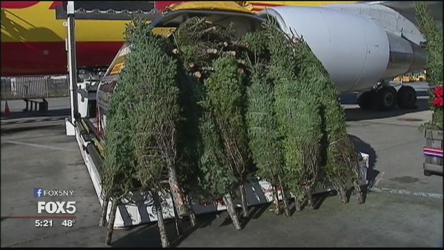 Christmas trees for U.S. troops overseas
