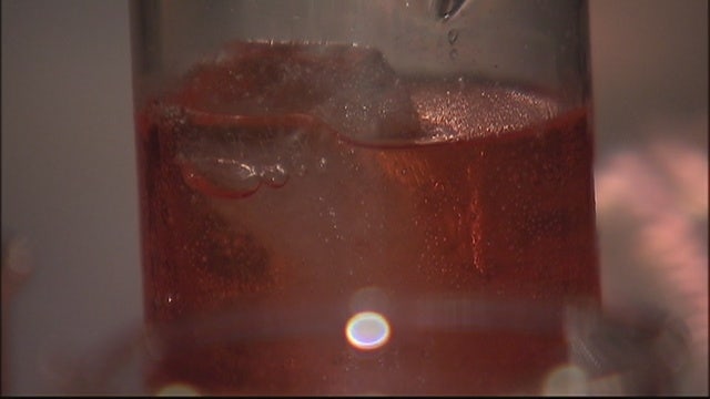 Summer cocktails from the garden