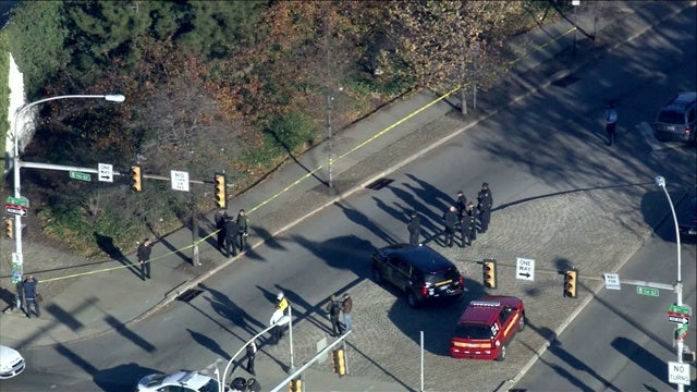 Bull escapes slaughterhouse, runs loose before being shot