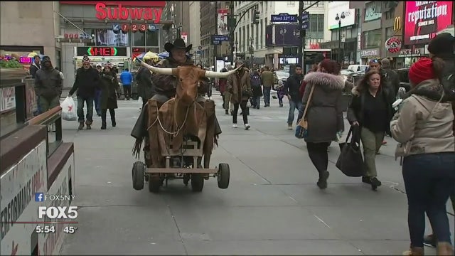 'Crazy Cowboy' rides motorized bull in Manhattan