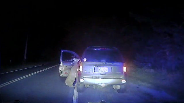 VIDEO: Deer leaps into SUV door after being struck