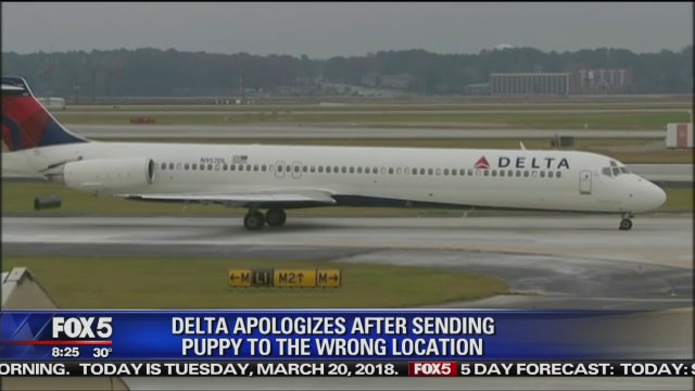 Delta sends dog to multiple wrong cities