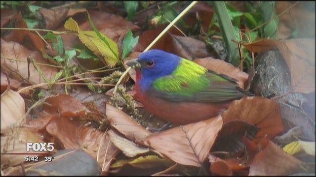 NYC Parks Department: Please don't feed the wildlife