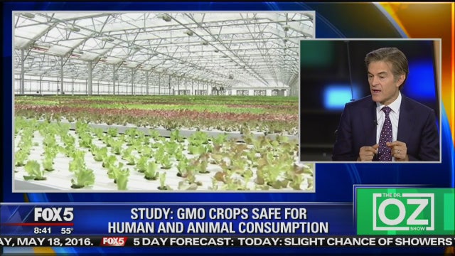 Dr. Oz: labeling is bigger issue in GMO debate